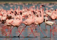 Loldia House, Lake Naivasha, Kenya