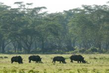 Loldia House, Lake Naivasha, Kenya
