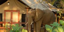 Lugenda Camp, Niassa National Park, Mozambique