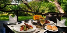Royal Tree Lodge, Maun, Botswana