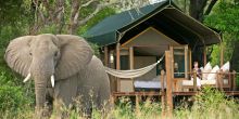Amazing elephant viewing from the cabins at Stanleys Camp, Okavango Delta, Botswana