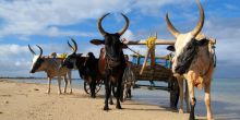 Hotel Hyppocampo, Tulear, Madagascar