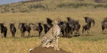 Mahali Mzuri, Olare Motogori Conservancy, Kenya