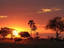 Makalolo Plains Camp, Hwange National Park, Zimbabwe Â© Courtney Johnson