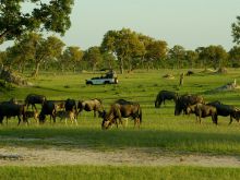 Makalolo Plains Camp, Hwange National Park, Zimbabwe Â© Wilderness Safaris