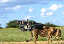 Mala Mala Rattrays Camp, Sabi Sands Game Reserve, South Africa