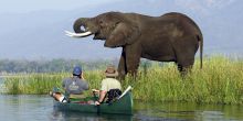 Nearby elephant viewing on Mana Pool Canoe Trails, Mana Pool National Park, Zimbabwe (Colin Bell)