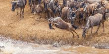 Encounter Mara Camp