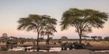 Matetsi River Lodge