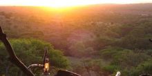 Mbalageti Serengeti, Serengeti National Park, Tanzania