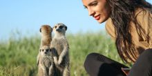 Jacks Camp, Kalahari Desert, Botswana