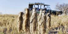 Jacks Camp, Kalahari Desert, Botswana