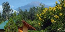 Meru View