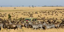 Mara Under Canvas Tented Camp