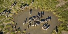 Jacks Camp, Kalahari Desert, Botswana