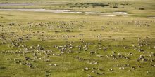 Jacks Camp, Kalahari Desert, Botswana