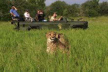 Mkuze Falls Lodge Game Drive Photo