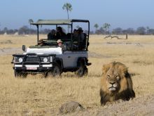 Game drive at Davisons Camp, Huangwe National Park, Zimbabwe (Mike Myers)