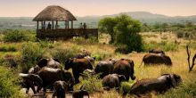 see wildlife from the hide at Morukuru