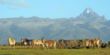 Mount Meru