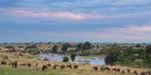 Mara River Post Camp