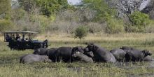 Mvuu Wilderness Lodge, Liwonde National Park, Malawi Â© Dana Allen