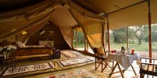 Spacious Tents