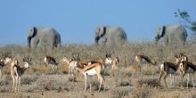 Safarihoek Lodge - view of plains