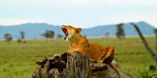 Thomson Nyumba Ngorongoro Crater