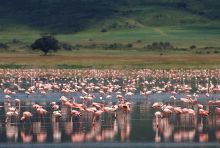 Ngorongoro Crater Lodge, Ngorongoro Crater, Tanzania Â© AndBeyond