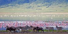 Crater views at Exploreans Ngorongoro