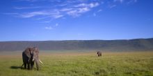 Entamanu Ngorongoro, Ngorongoro Crater, Tanzania