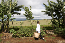 The chef in the vegetable garden at Ngorongoro Farm House, Karatu, Tanzania