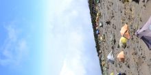 Lemosho Route, Kilimanjaro, Tanzania