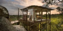 Treehouse