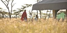 Nomadic Camp, Masai Mara National Reserve, Kenya