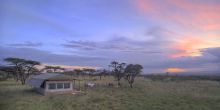 Nomadic Camp, Masai Mara National Reserve, Kenya