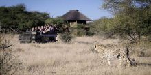 nThambo Tree Camp