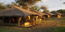 Thompson's Nyumba Serengeti