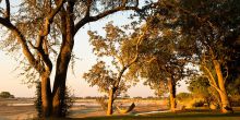 Tafika Camp, South Luangwa National Park, Zambia