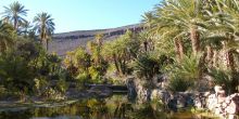 Skoura Oasis