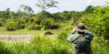 Ngaga Camp, Odzala National Park, Republic of Congo