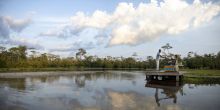 Lango Camp, Odzala National Park, Republic of Congo