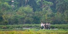 Lango Camp, Odzala National Park, Republic of Congo