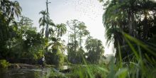 Lango Camp, Odzala National Park, Republic of Congo