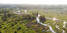 Lango Camp, Odzala National Park, Republic of Congo