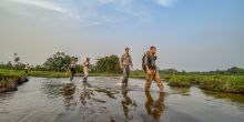 Lango Camp, Odzala National Park, Republic of Congo