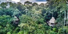 Lango Camp, Odzala National Park, Republic of Congo