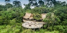 Lango Camp, Odzala National Park, Republic of Congo