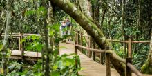 Lango Camp, Odzala National Park, Republic of Congo